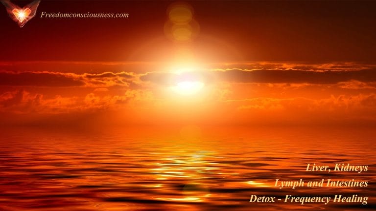 Liver, Kidneys, Lymph and Intestines Detox Frequency Healing – Organ Cleanse and Detox