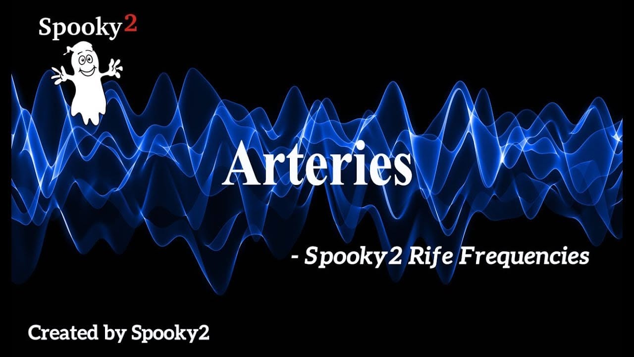 Arteries – Healing Frequency | Spooky2 | Rife Frequencies