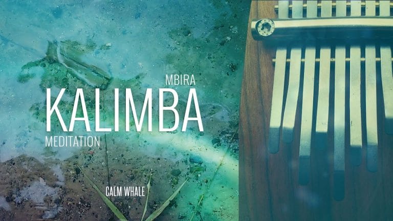Beautiful Kalimba Meditation | Restful Sleep Relaxation | Calm Whale | 3 Hours