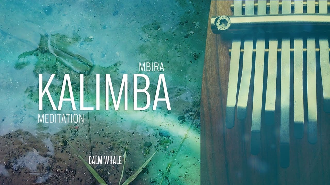 Beautiful Kalimba Meditation | Restful Sleep Relaxation | Calm Whale | 3 Hours