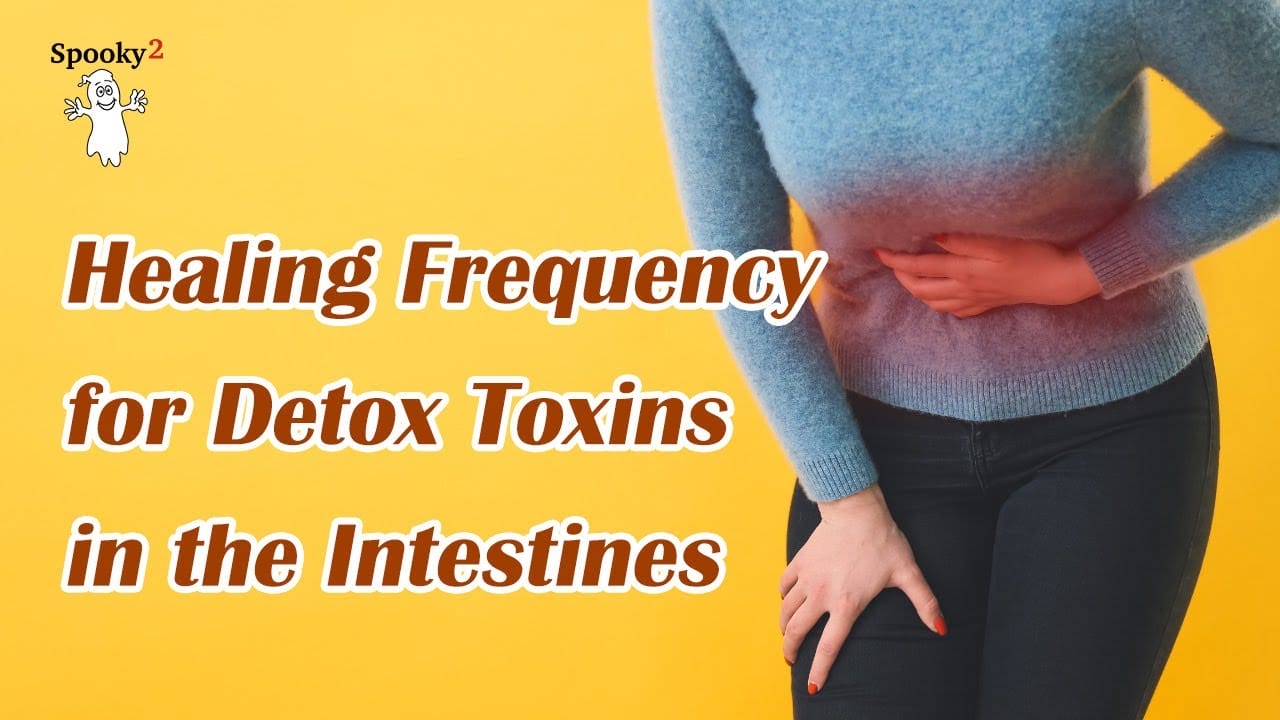 Detox Toxins In The Intestines – Healing Frequency | Spooky2 | Rife Frequencies