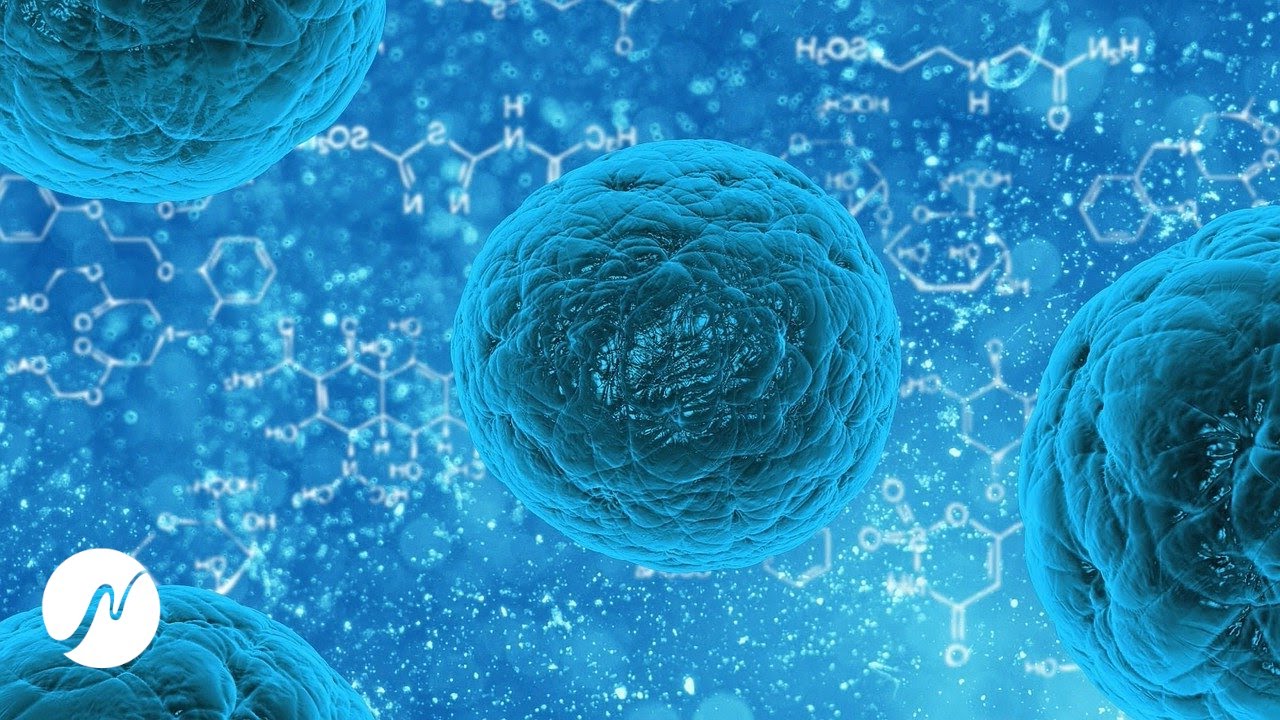 Anti Virus Frequency | Immune System Booster | Remove Harmful Viruses Bacteria Pathogens | 1 Hour